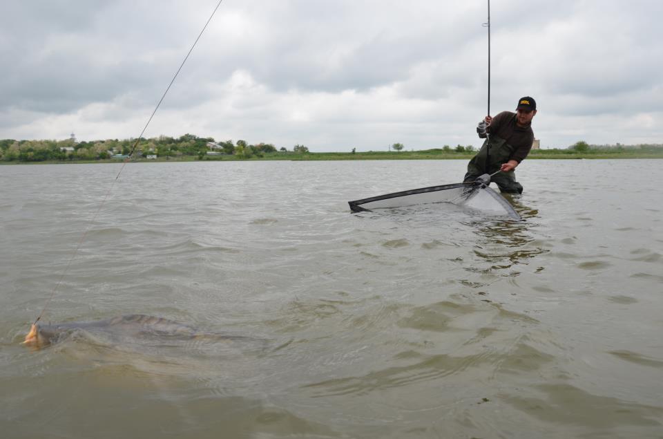 Fotografii de profil - av-7.jpg